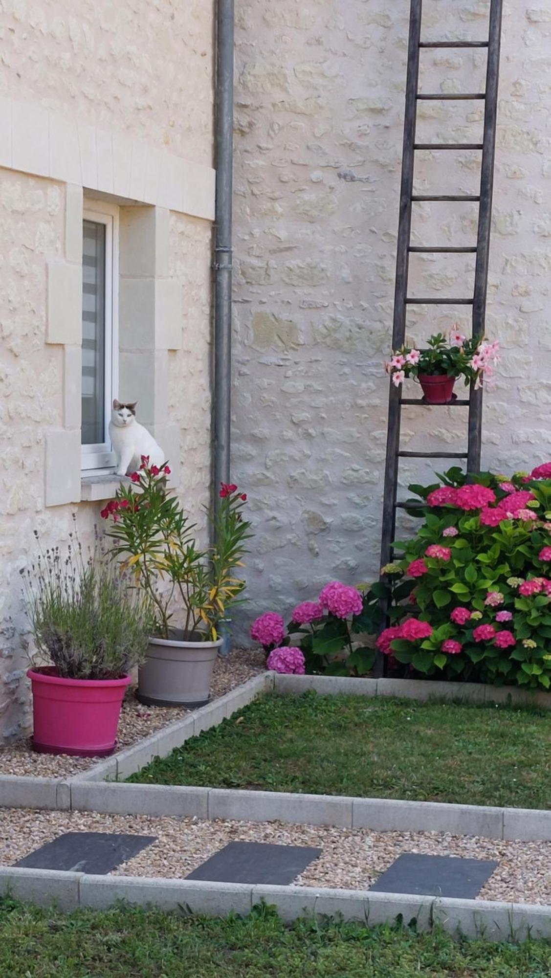 Gite Amanala Poitou Saint-Genest-d'Ambiere Екстериор снимка